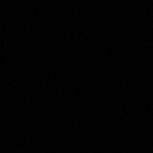 Meet your Posher, Shané